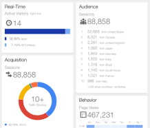 a screenshot of Google Analytics of real-time and audience on ipad